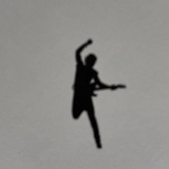 Bruce Springsteen Biography "Born to Run" - Picture 7 of 7